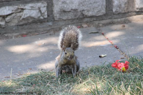 MY LITTLE FRIEND (1)