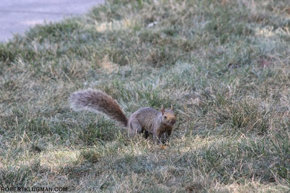 MY LITTLE FRIEND (12)