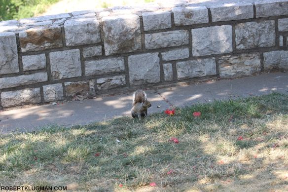 MY LITTLE FRIEND (2)