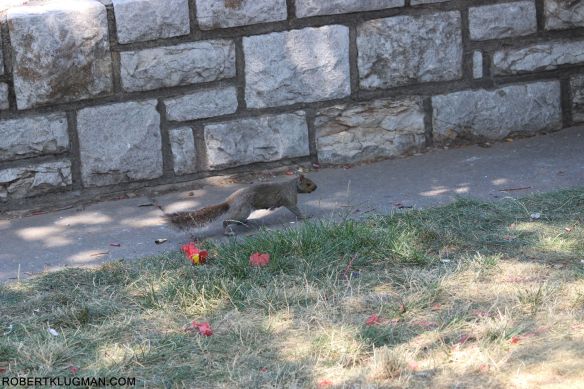 MY LITTLE FRIEND (3)